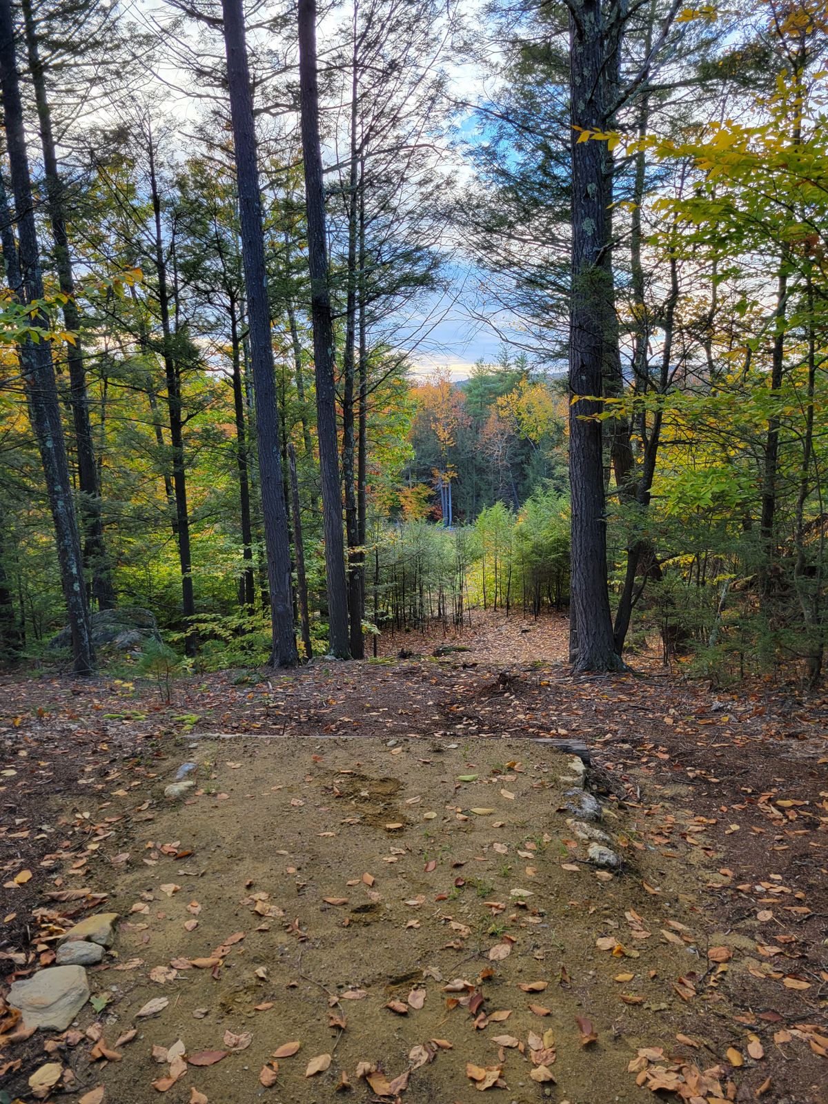 Hole 12 from the tee.
