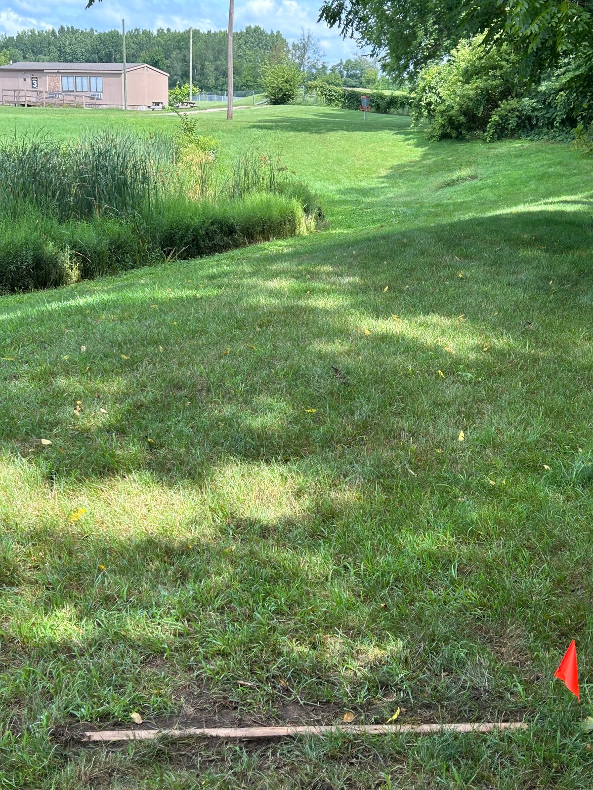 Hole 5 has a cool window for a tee shot, and with the road OB it makes this even more challenging.