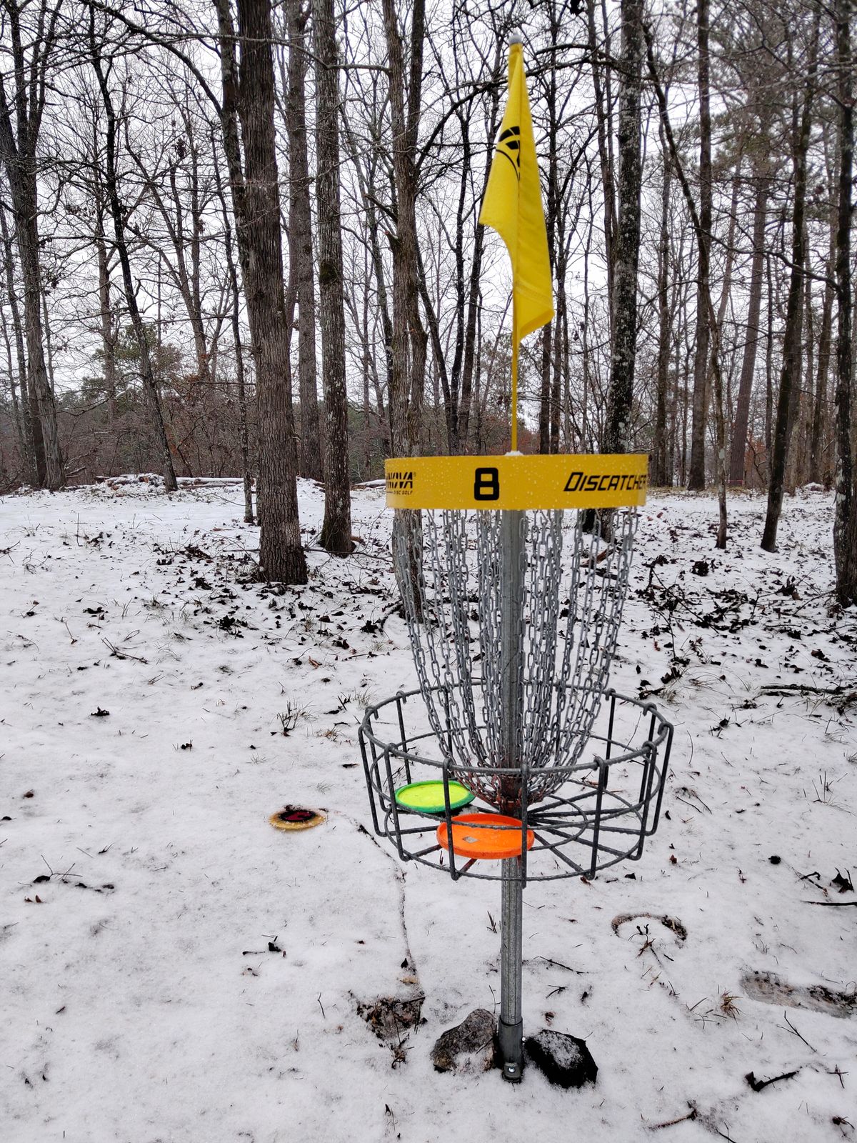 Basket 8 Snow day