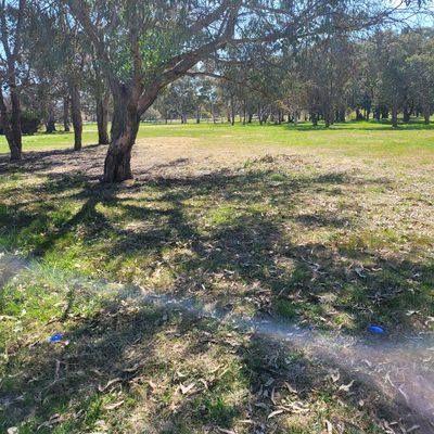 Hole 9