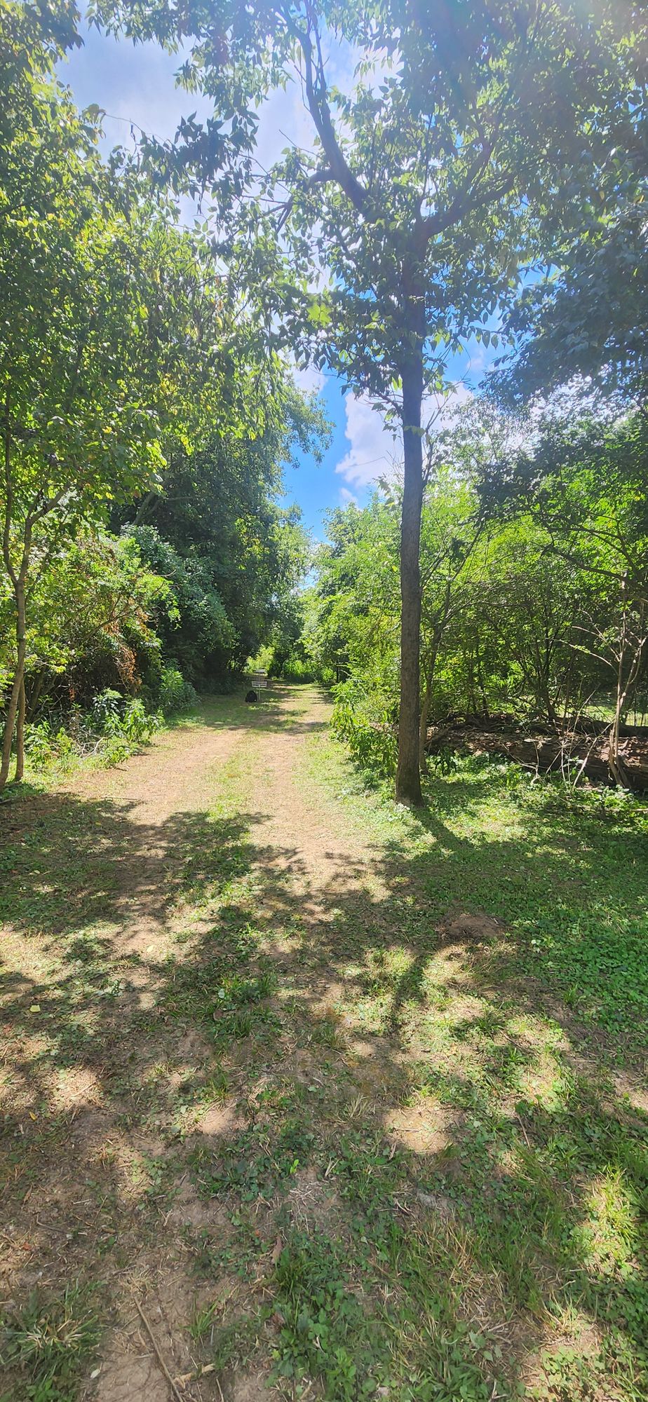 Hole 1