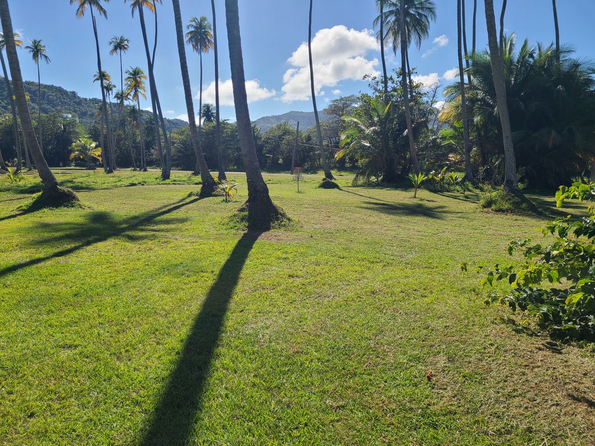 Hole 14