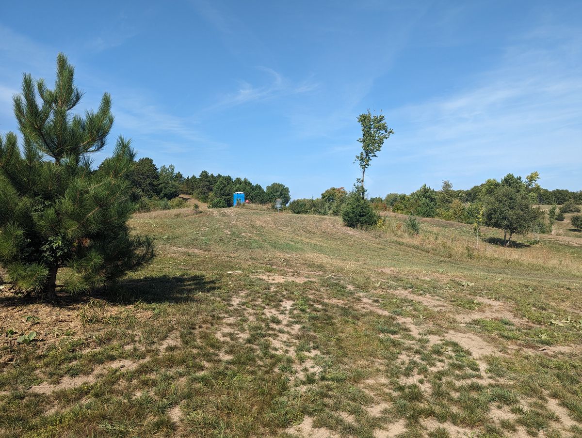 Fairway to Short Basket