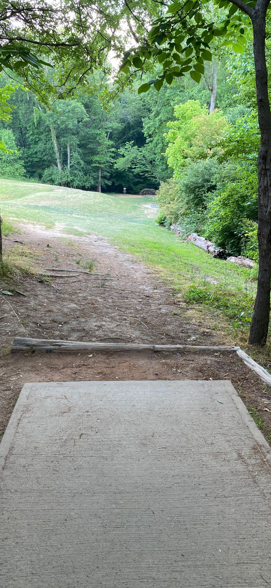 Hole 3 - 295 ft - Par 3