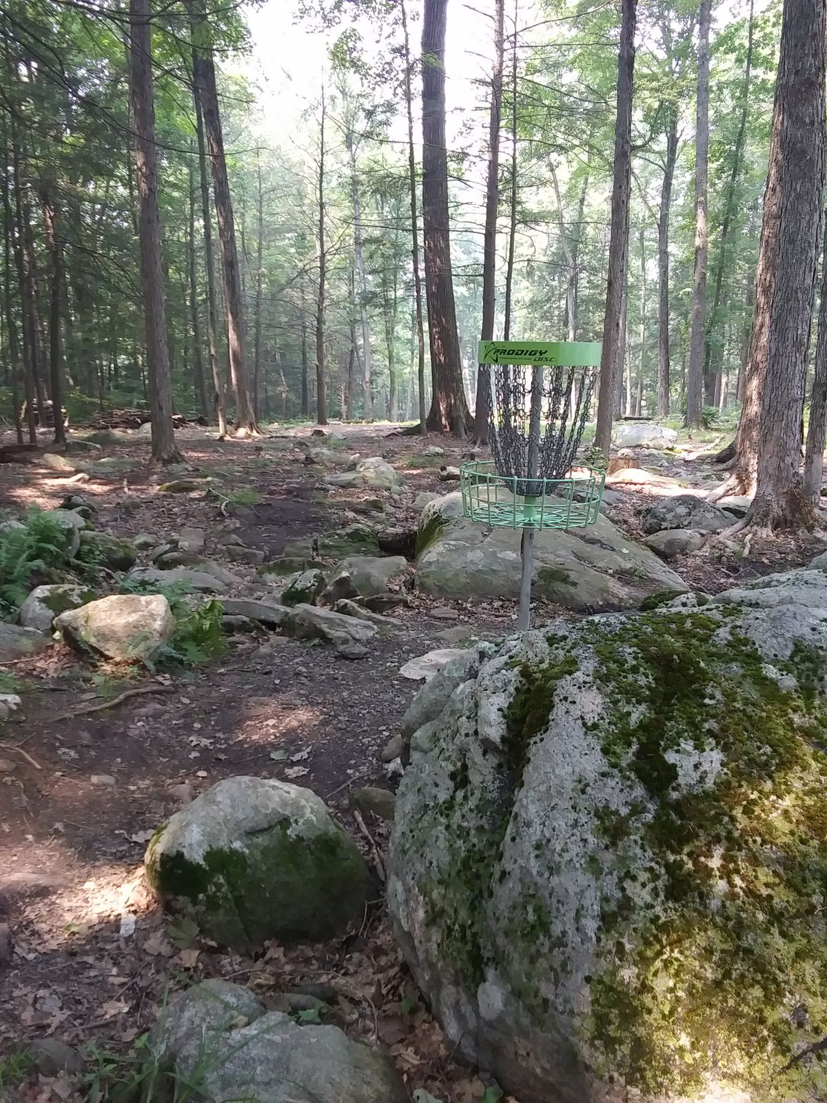 Hole 4 basket, looking back down the fairway.