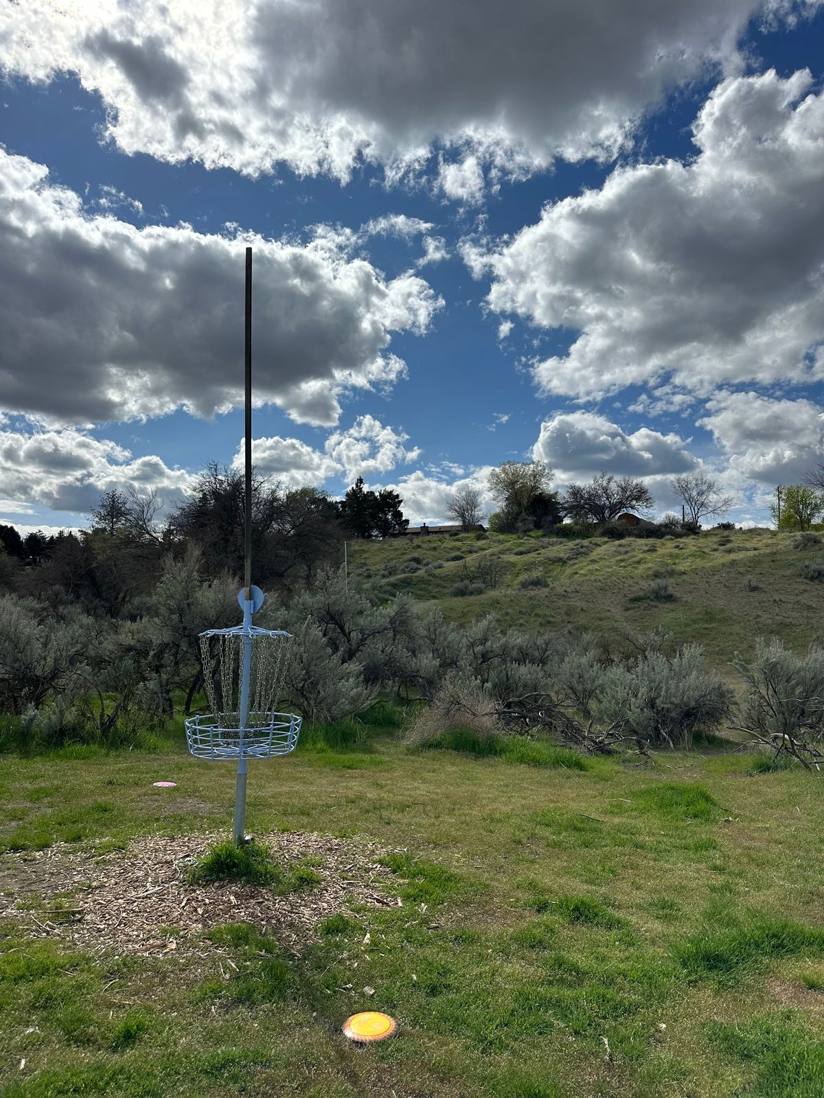 Hole 18 basket looking back at tee pad