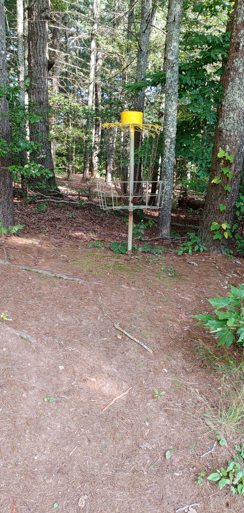 On a small rise at the end of a field