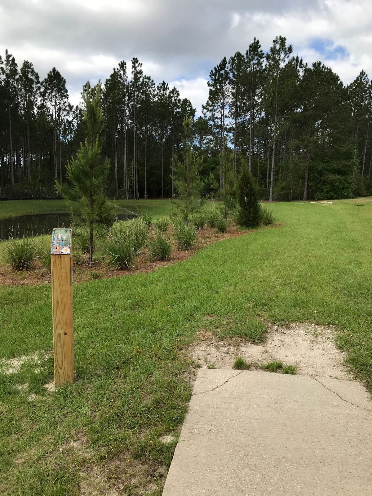 Tee Four