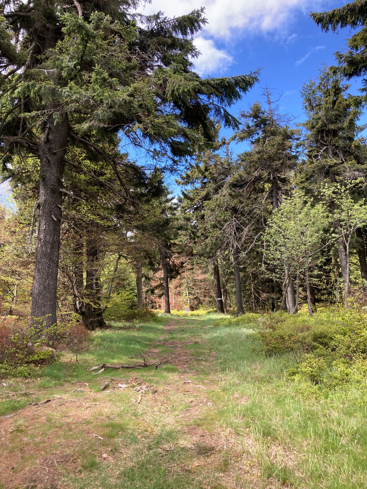 Hole 6