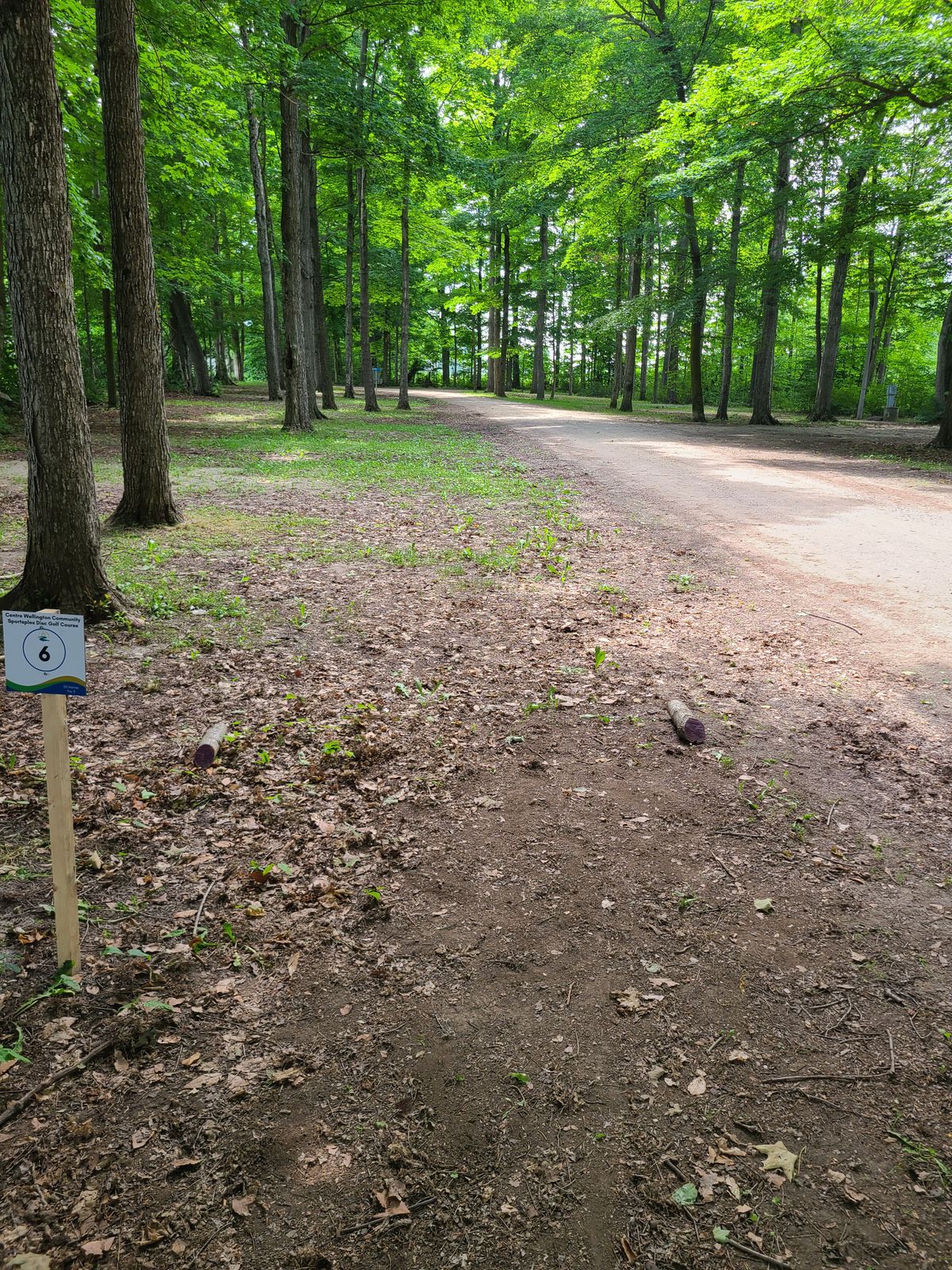 Tee off and hole #6