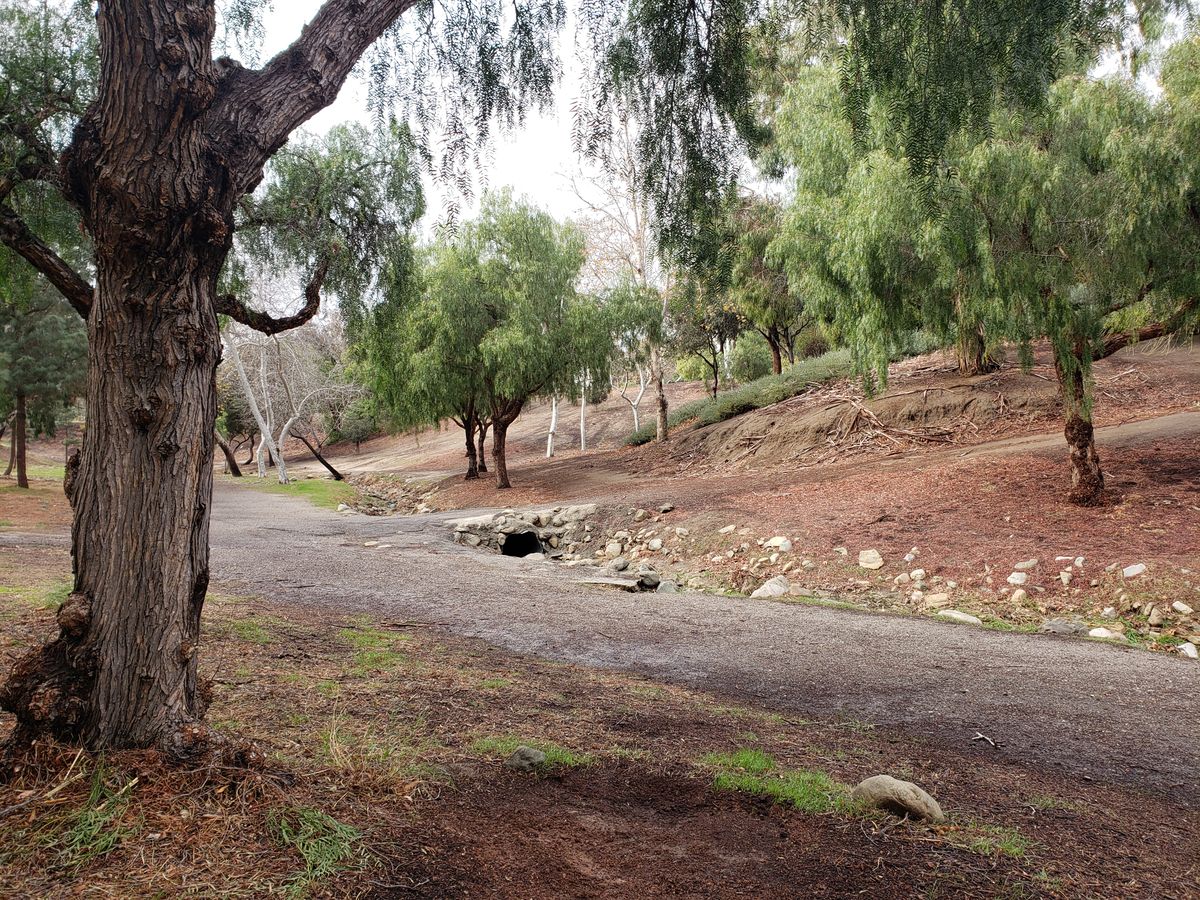 Tee pad for hole #17.