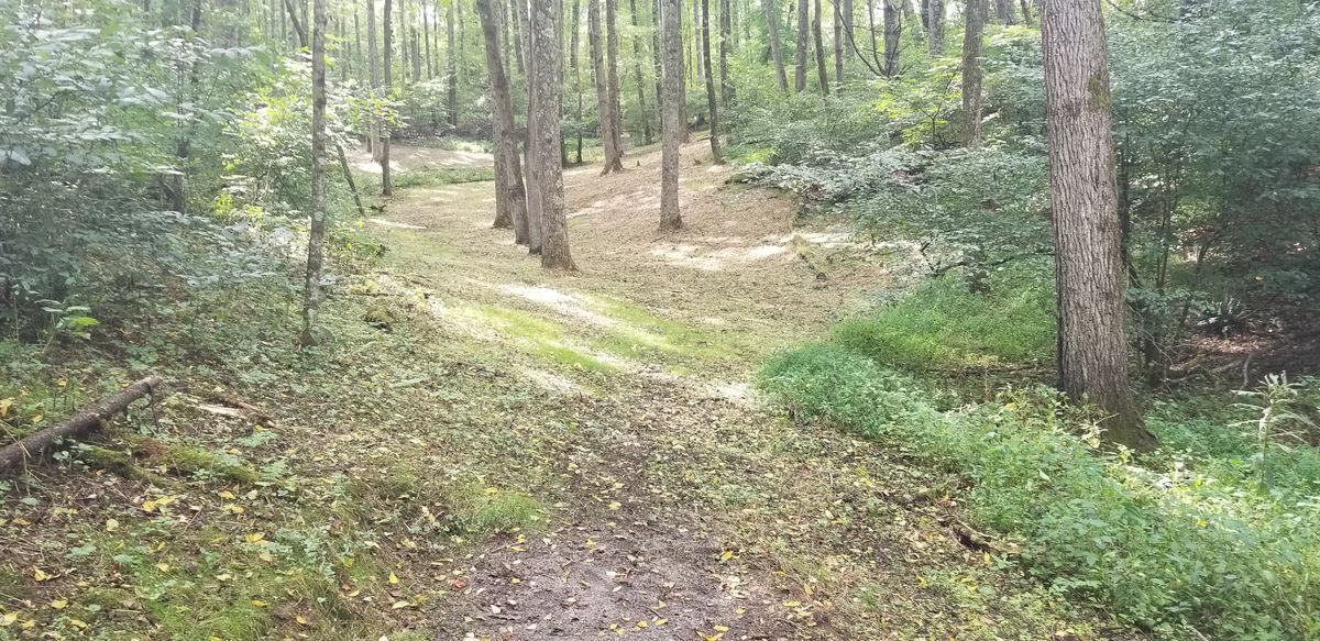 #13.  Another well guarded hole.