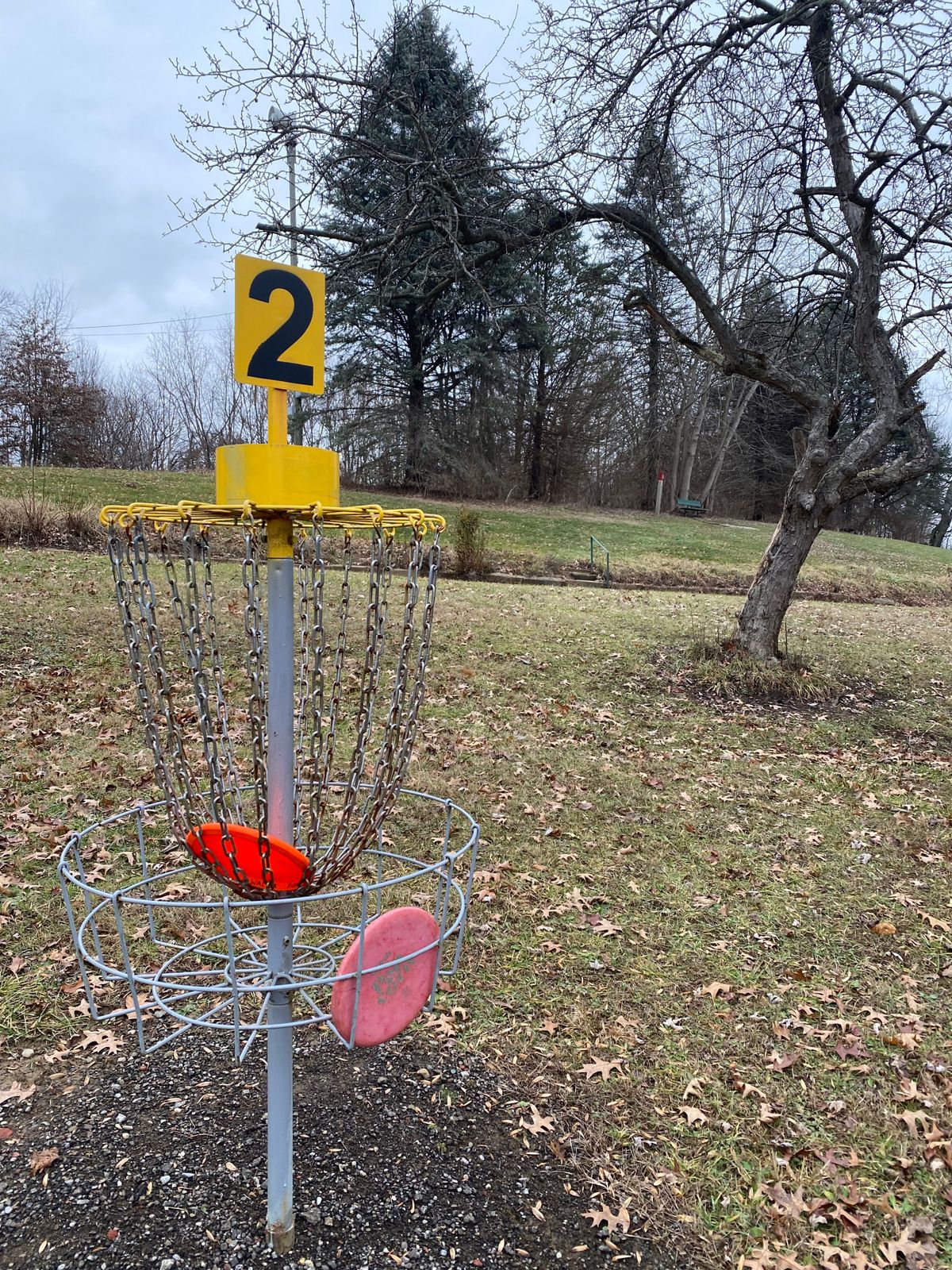 The baskets received a refresh fall of 2024, with larger number plates and fresh yellow paint