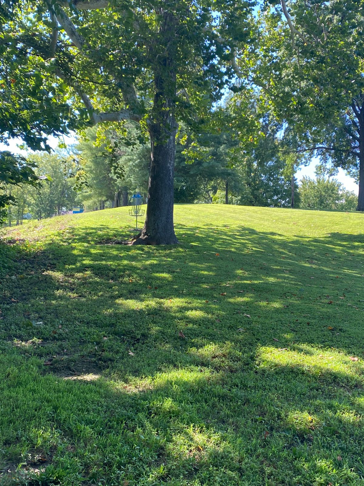 12 fairway