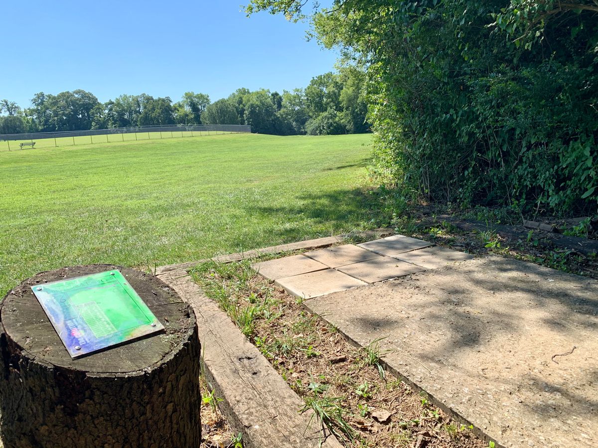 #16 tee pad; basket to right