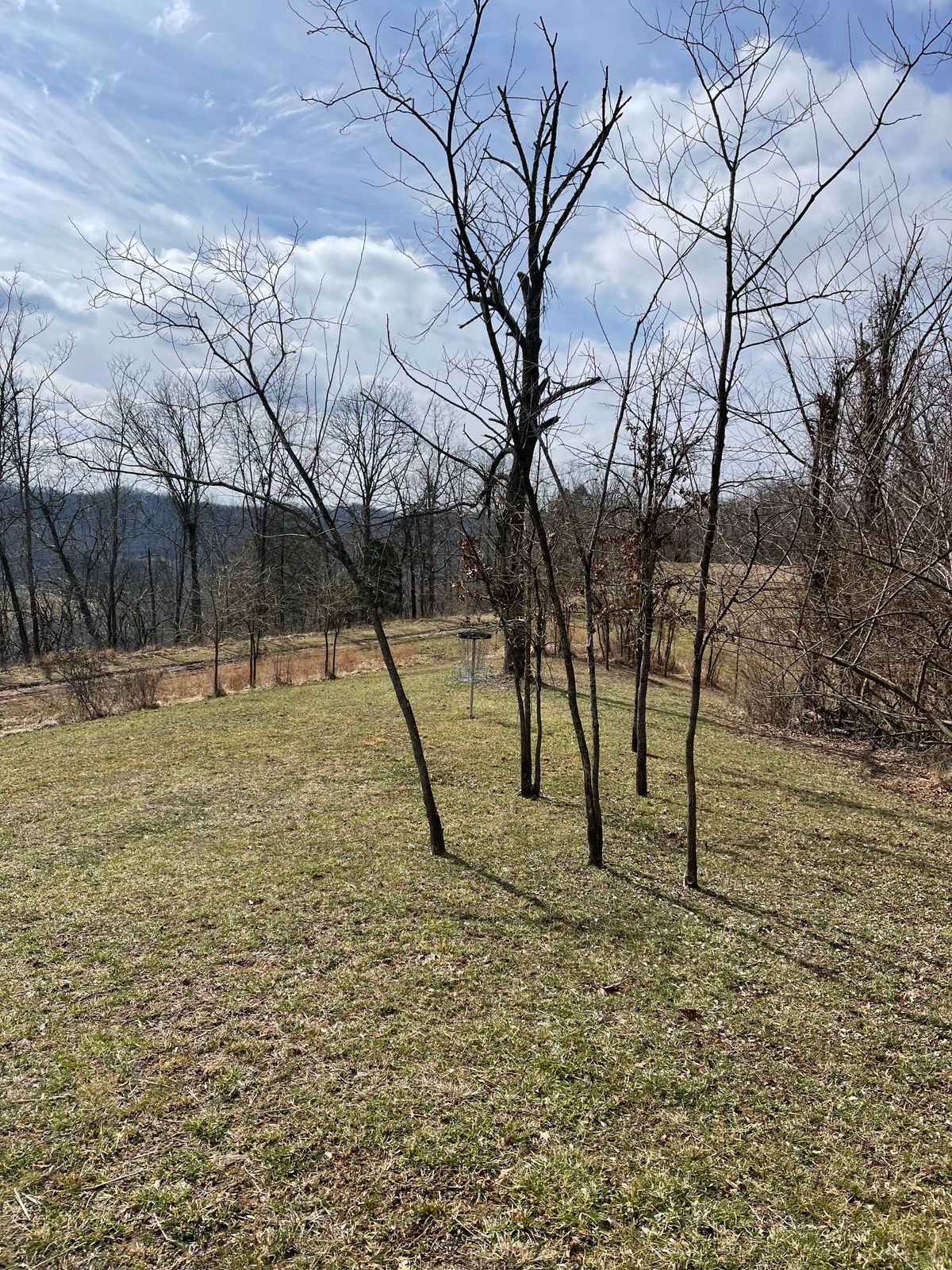 Hole 9 (Green)