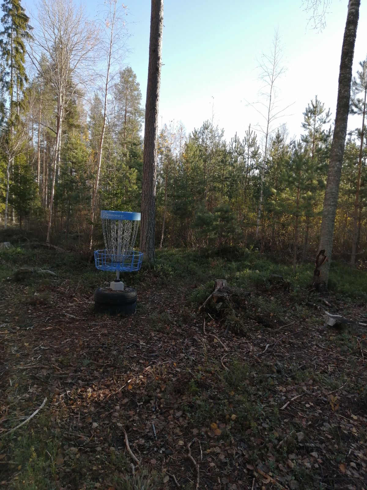 3. Väylä