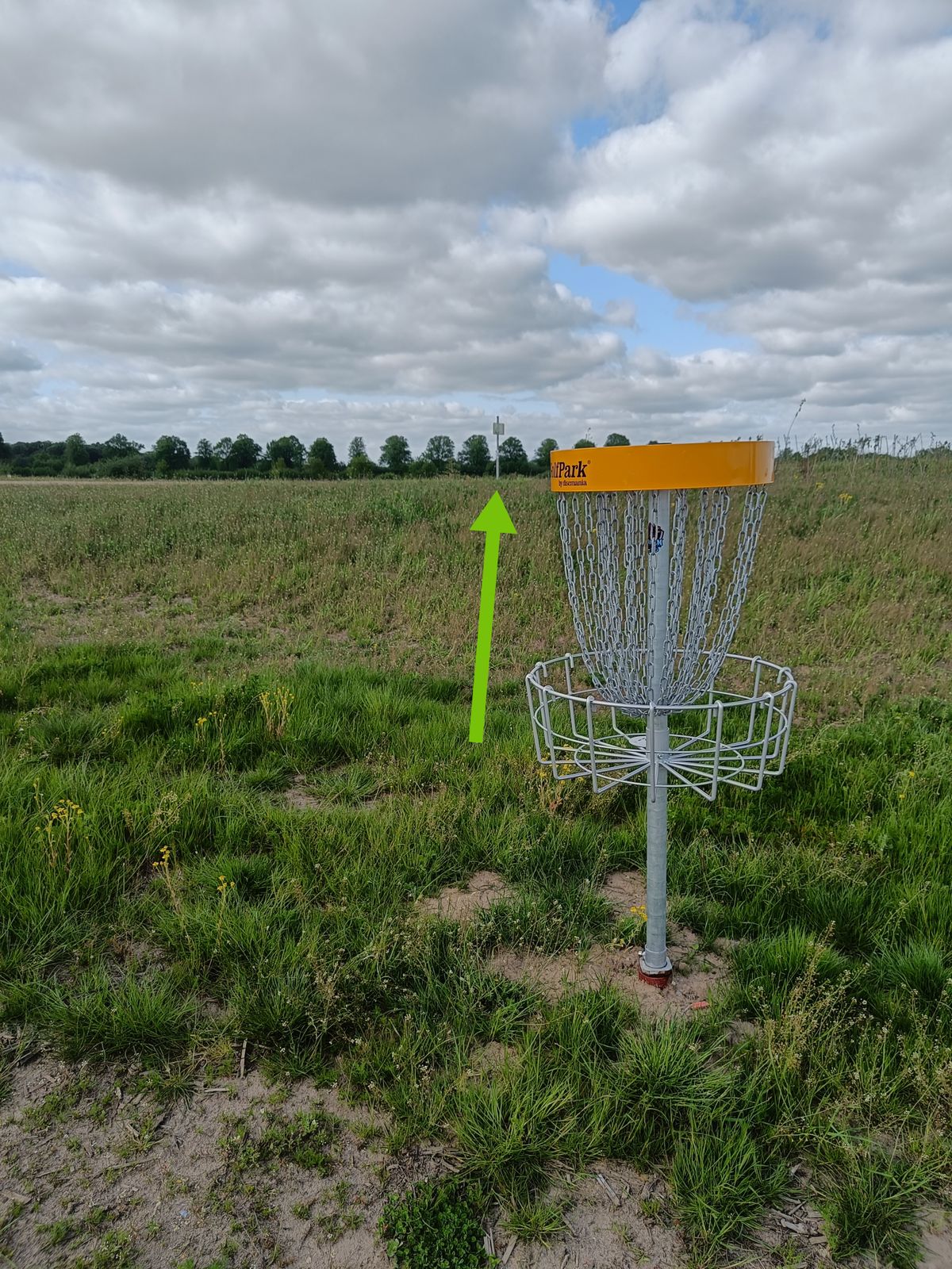 Korb 8 
Weg zu Tee 9