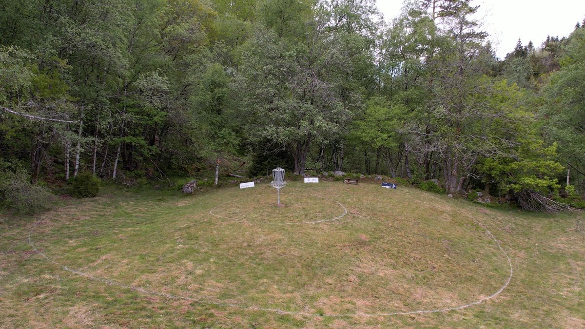 Green Gold basket Hole 12.