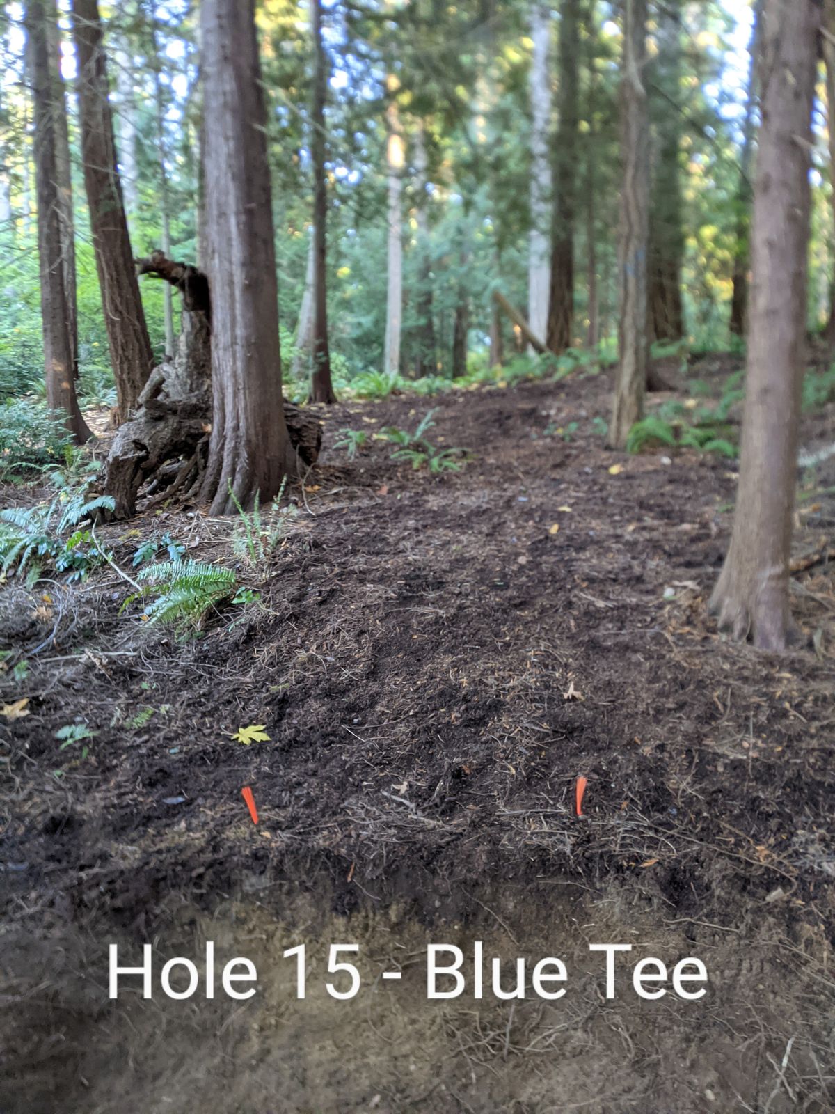 Hole 15 - Blue Tee