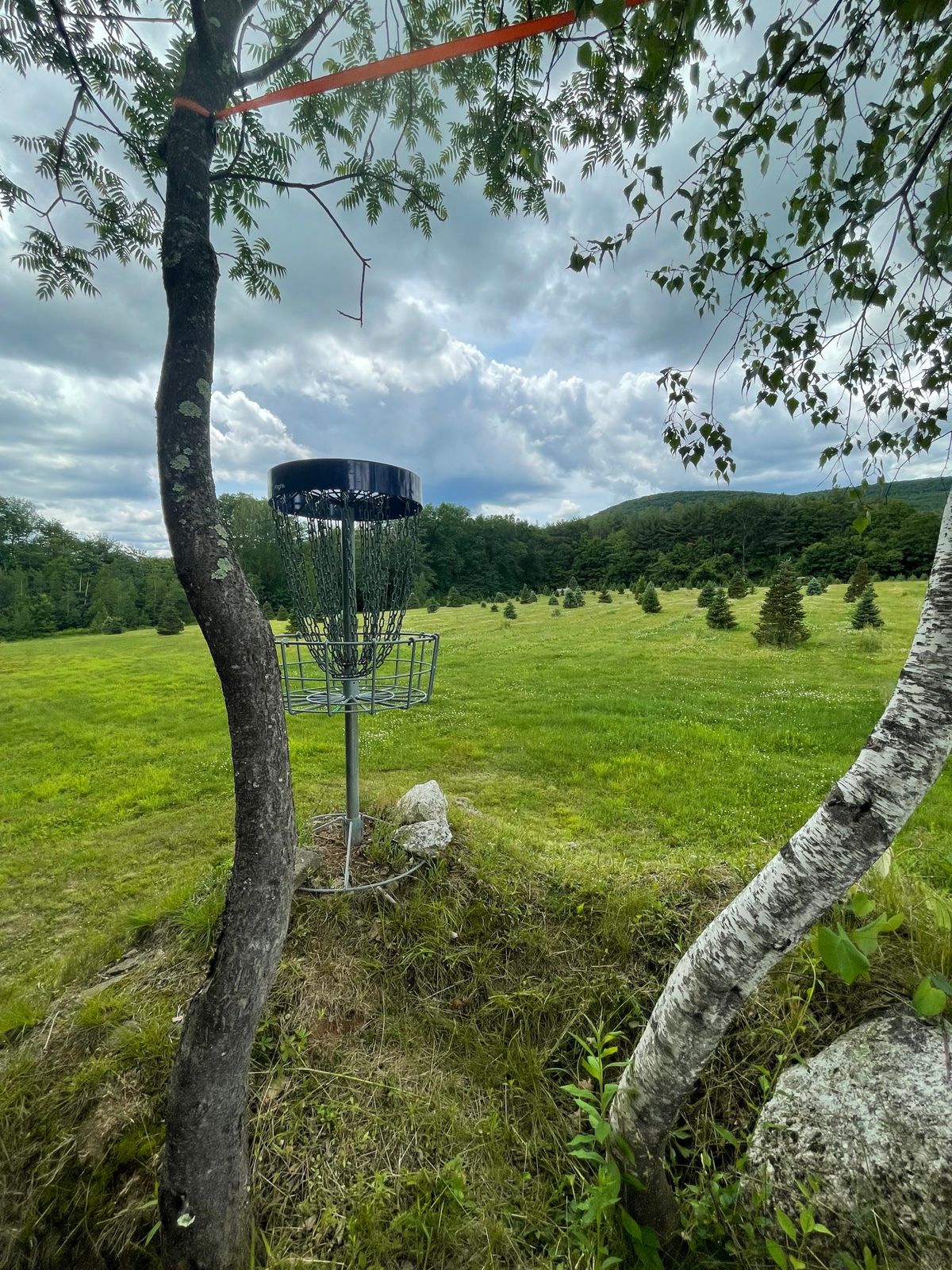 Hole 2 Basket