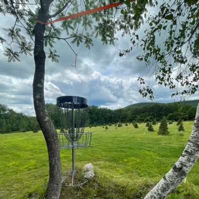 Hole 2 Basket