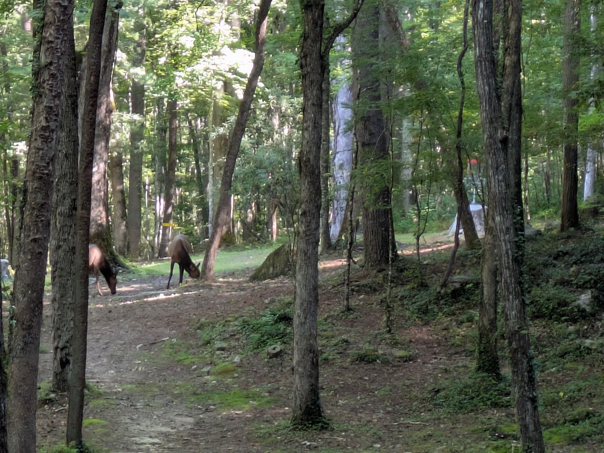 Hole 1