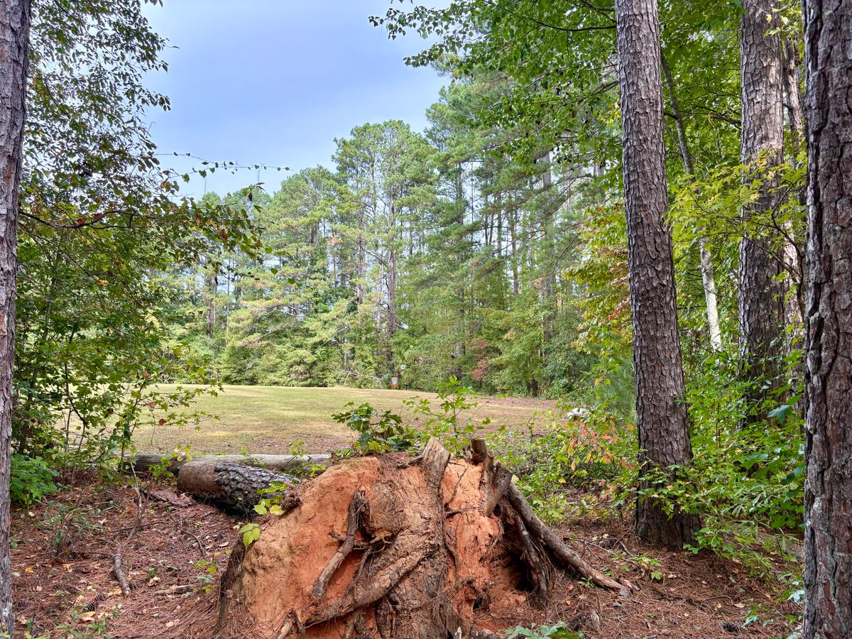 Hole 5 tee
