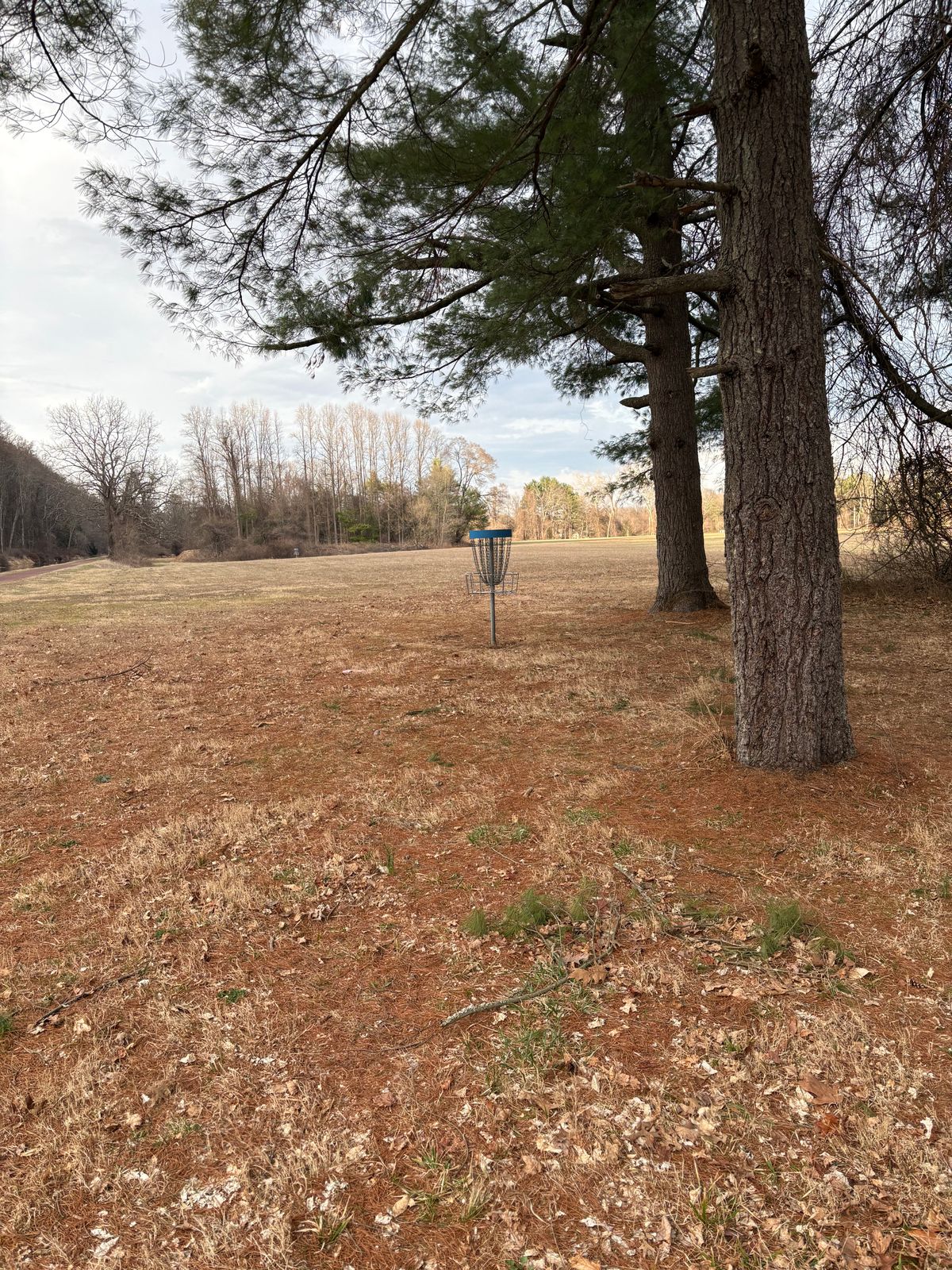 13 is a little slightly back from the old a position. Flag is marked for a new b pin about 100’ back