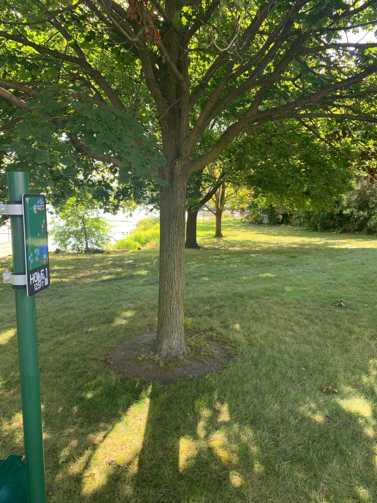 Hole 1 tee pad