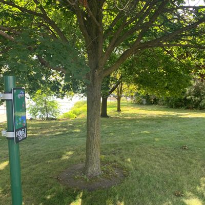 Hole 1 tee pad