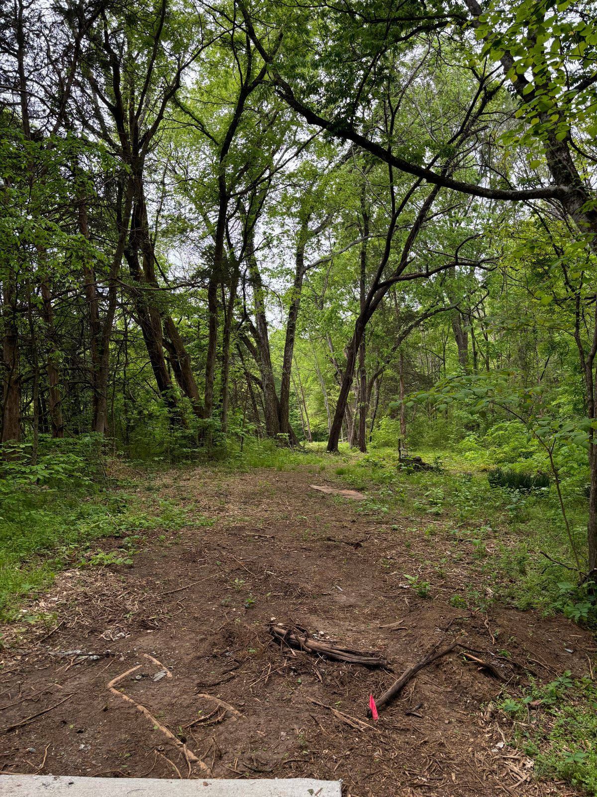 Hole 8