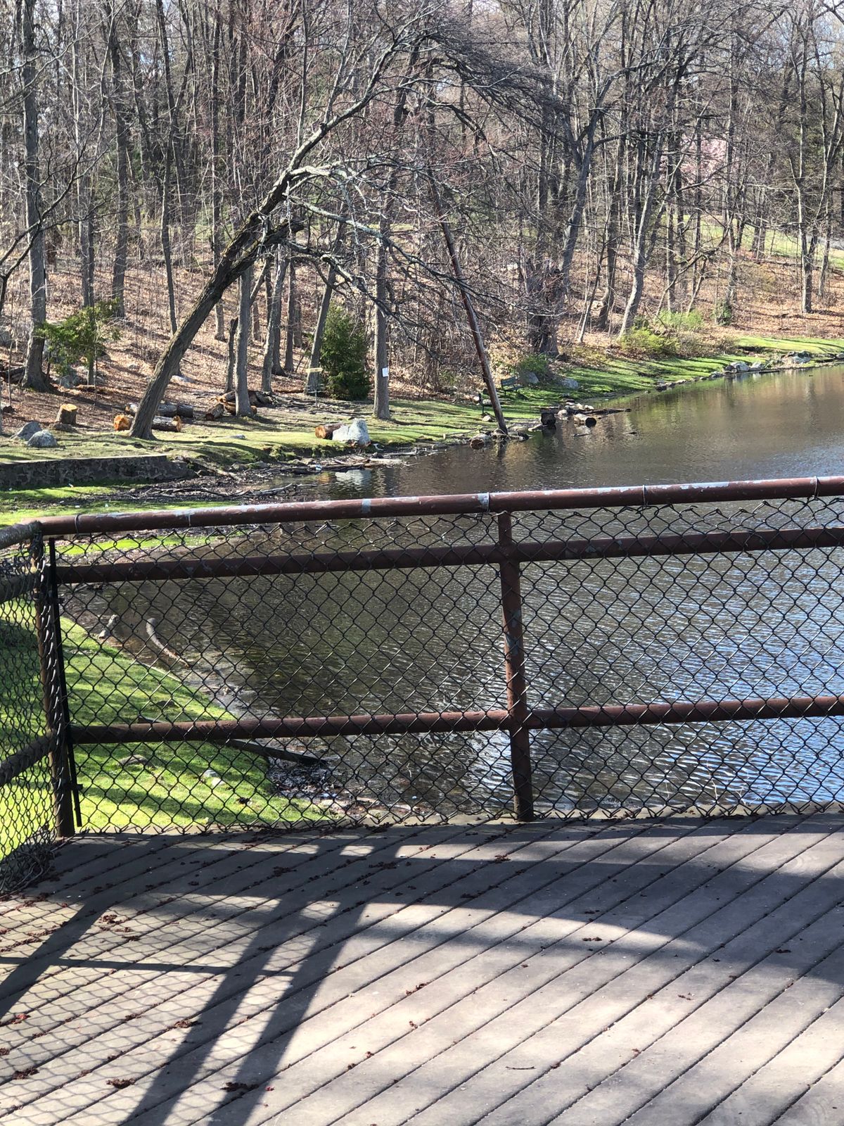 Hole 12.  Over water.