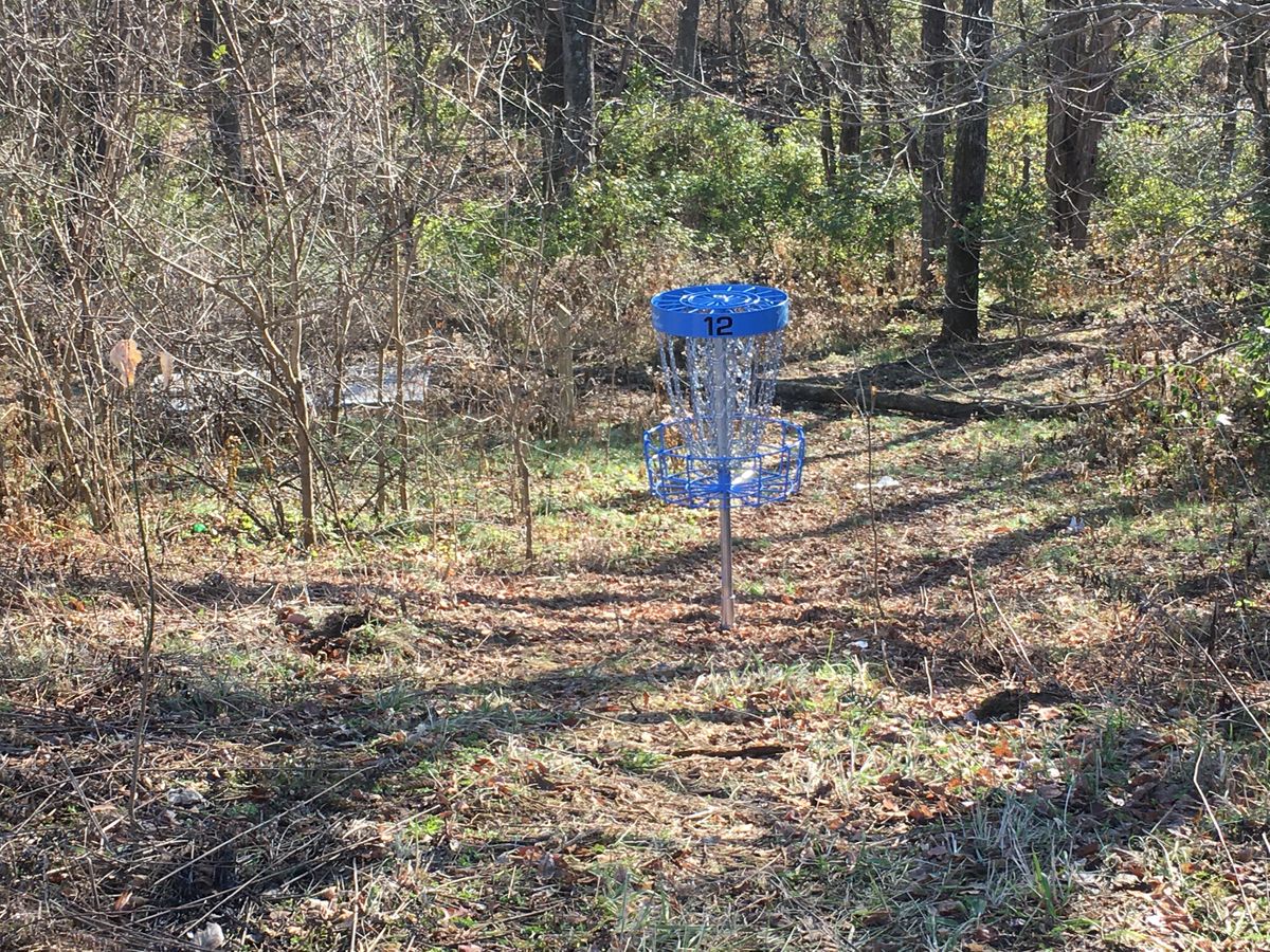 Hole #12 basket looking down the hill.