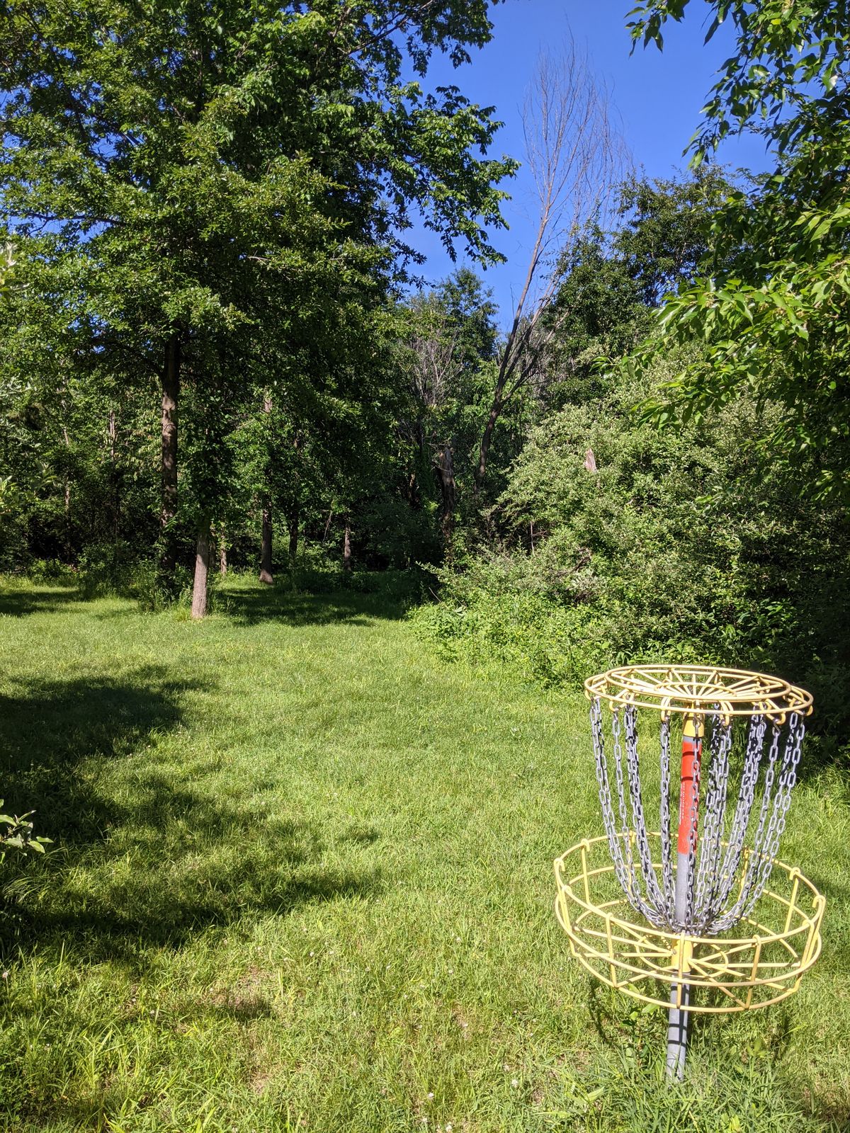 Basket 5 to tee view