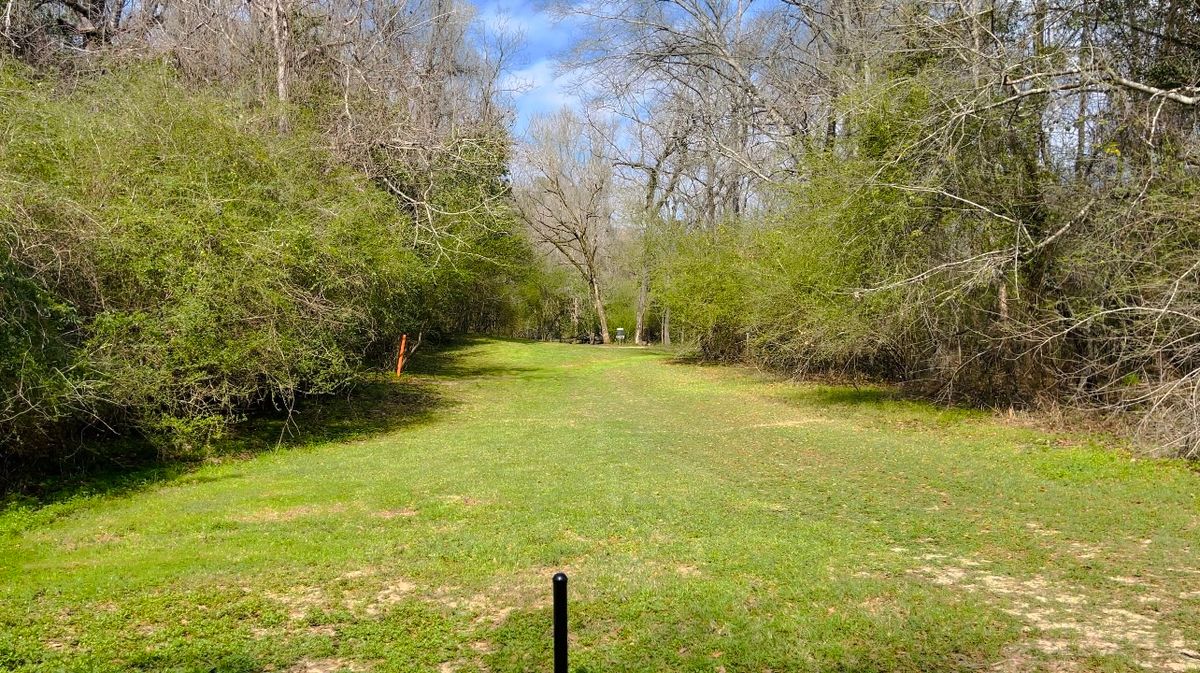 Hole 7