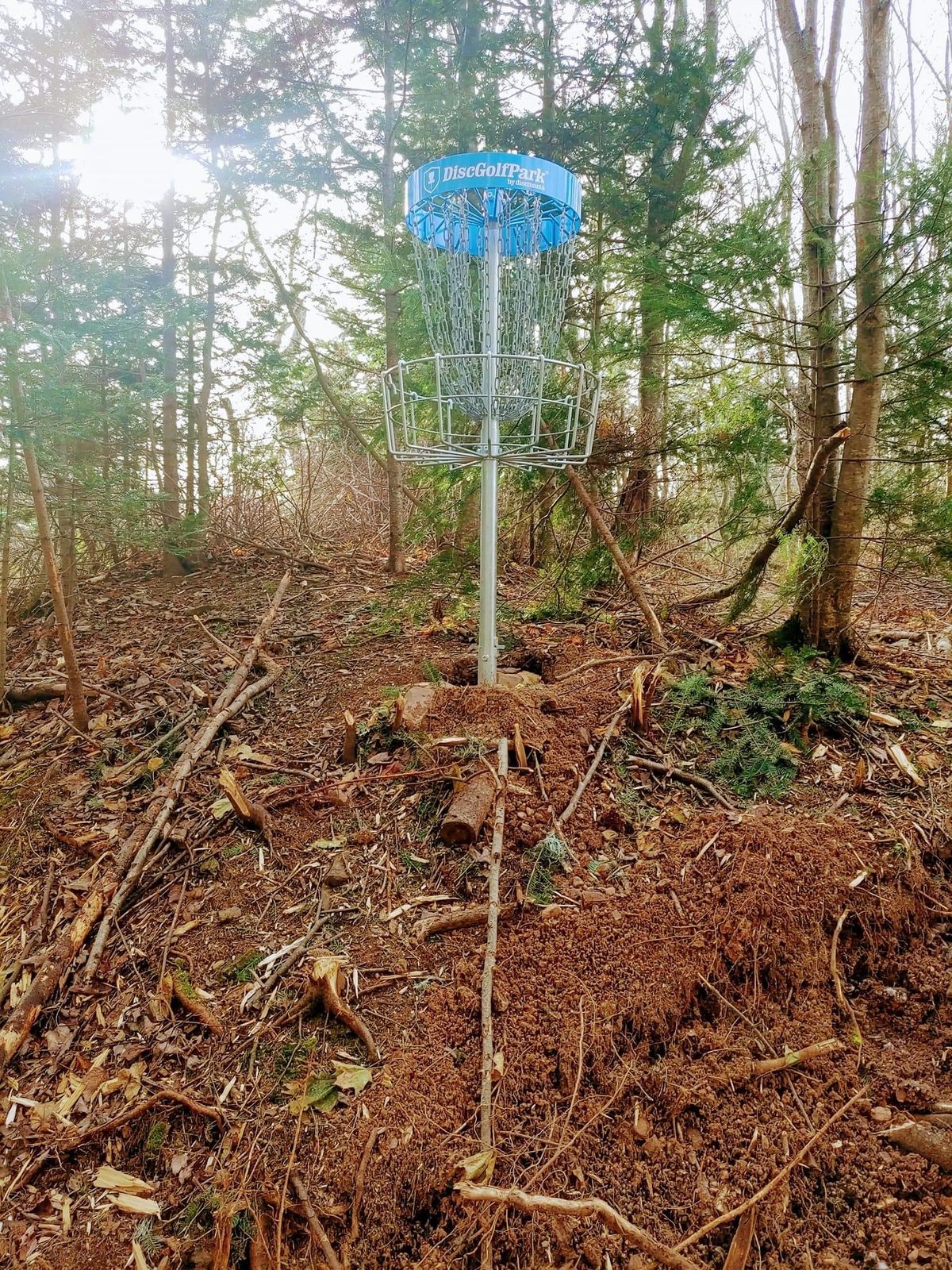 Hole 2 Elevated Basket.