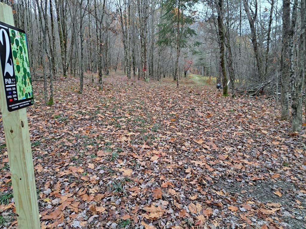 Hole 2 Long