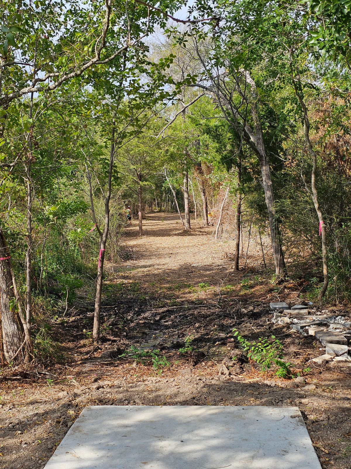 Hole 14 Tee