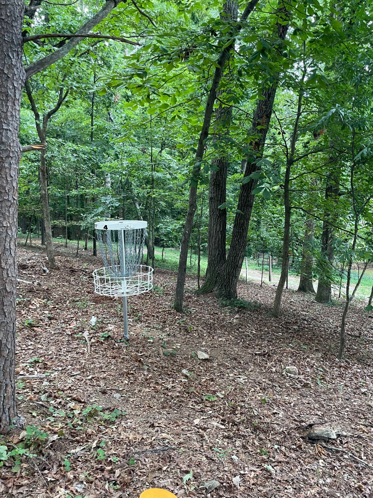 Tee 4