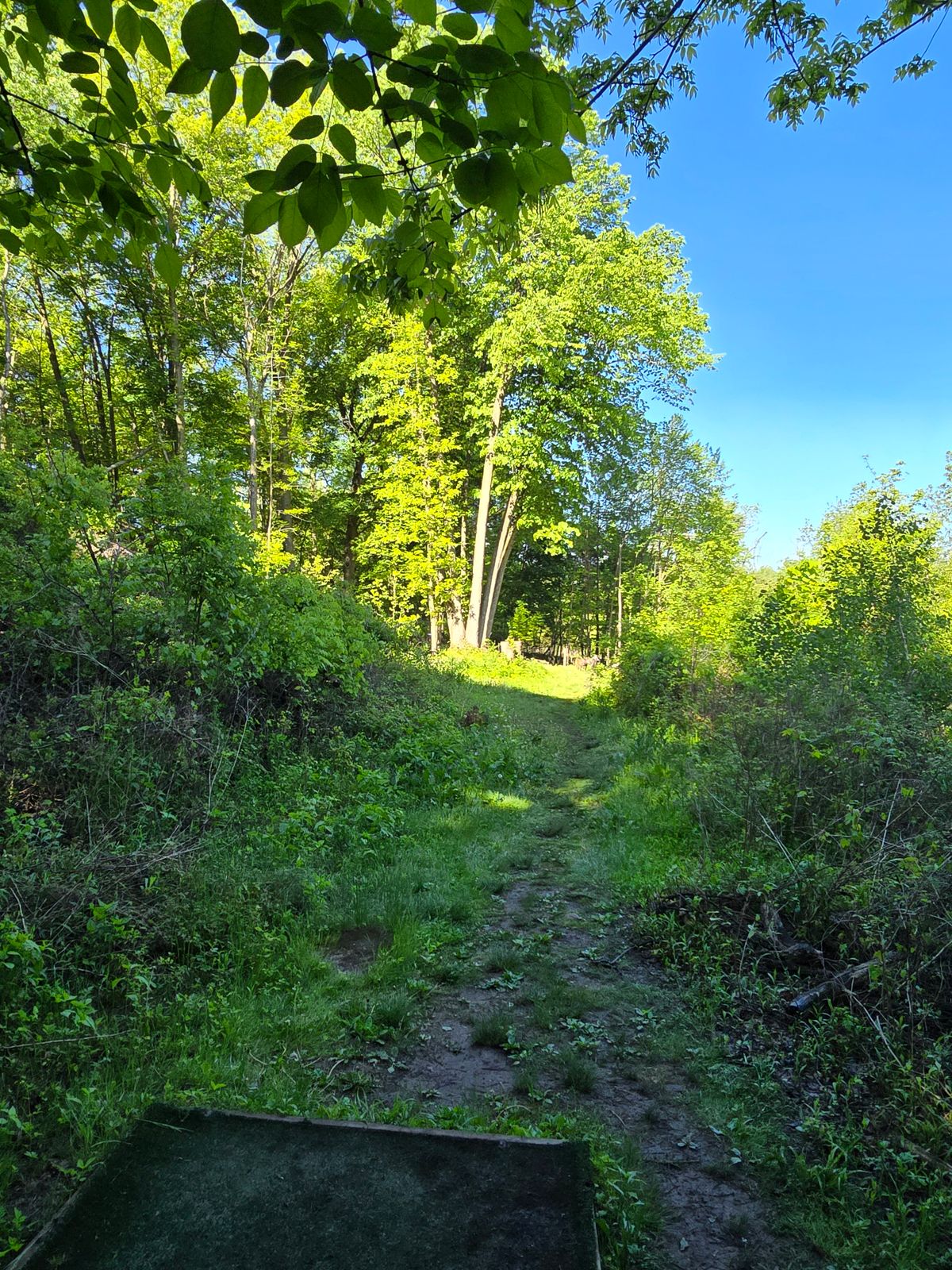 Hole 9
