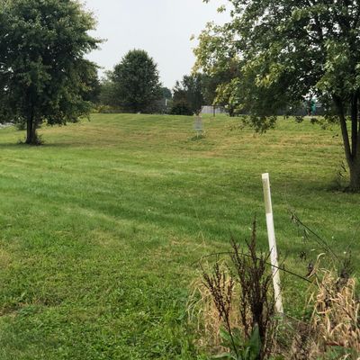 Hole 6 basket