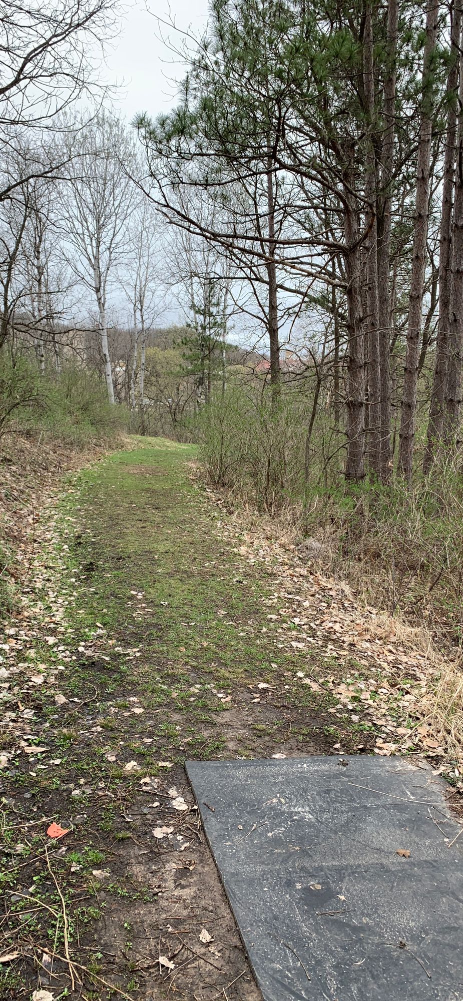 12 tee. Basket tucked to the right.