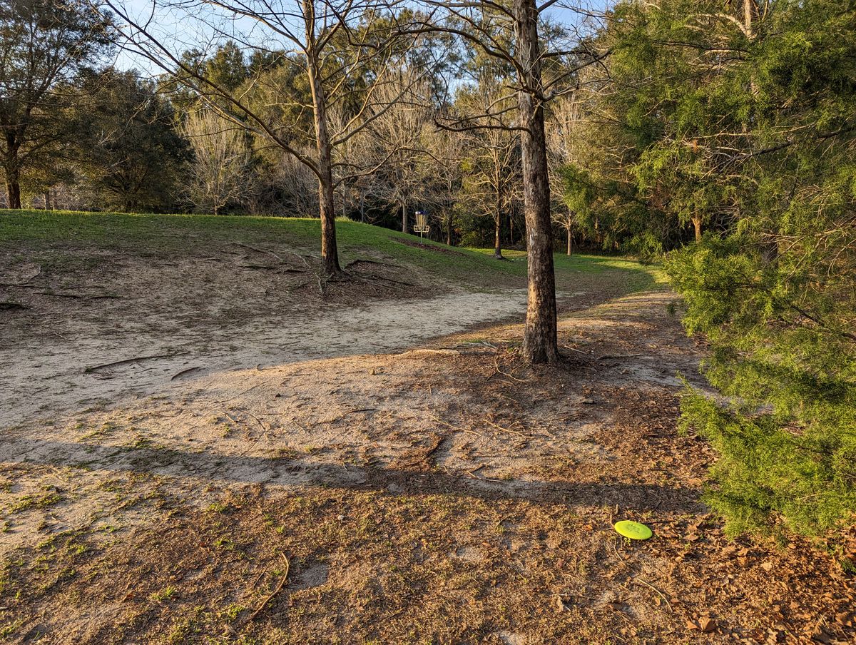 Long birdie look on 12