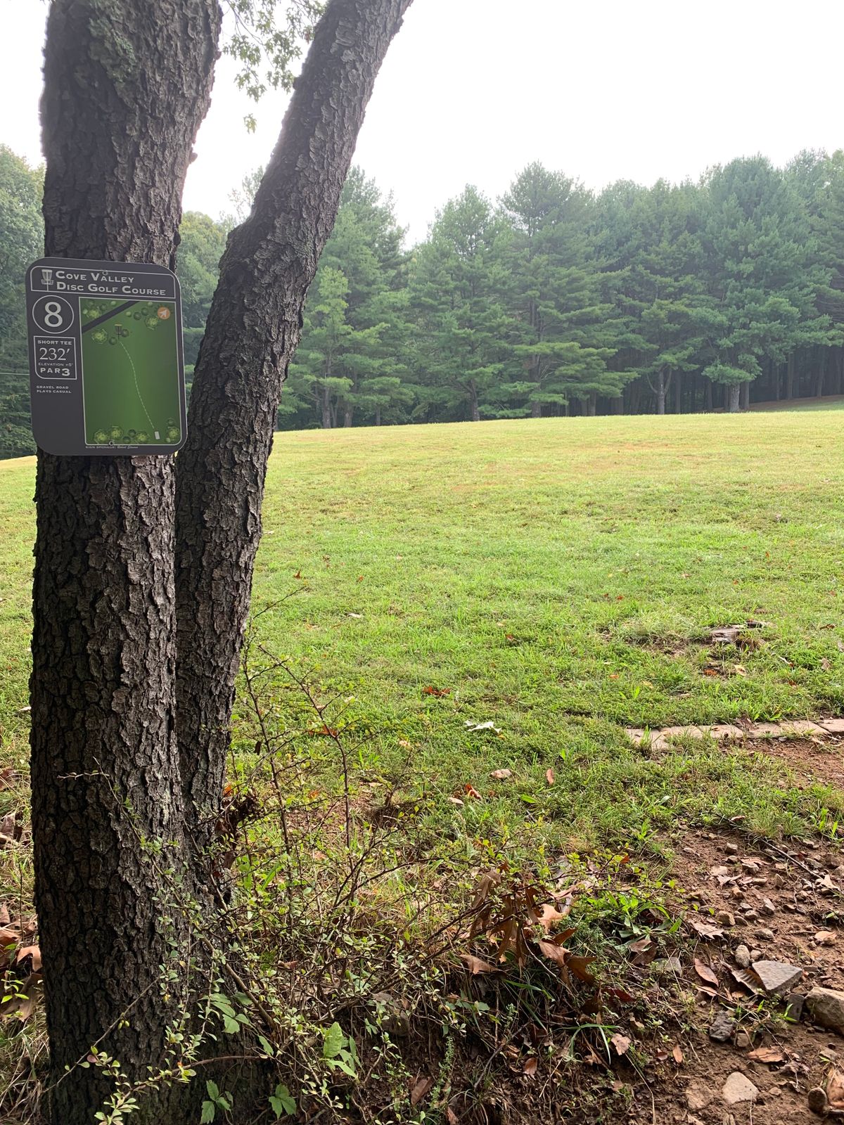 Hole 8, short tee