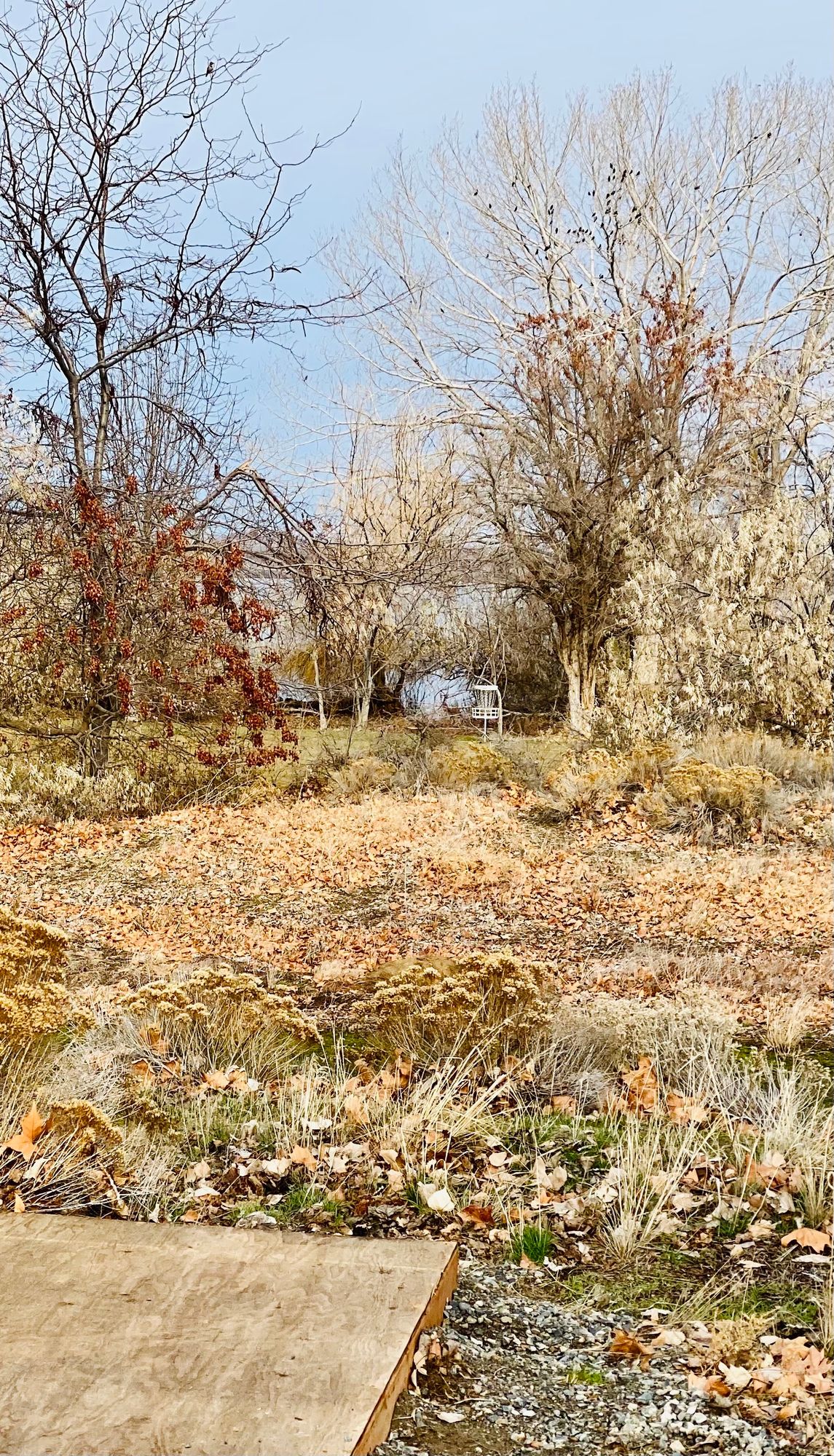 Hole 16