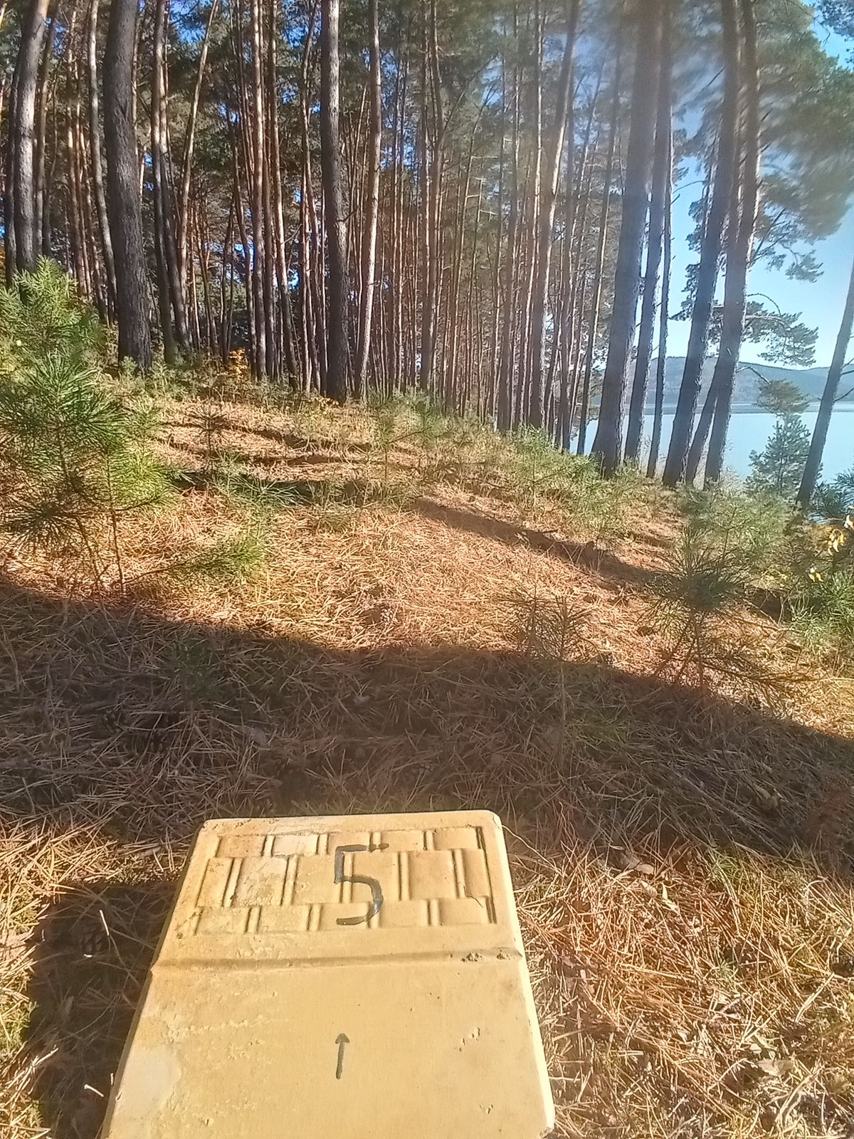 Hole 5 Tee