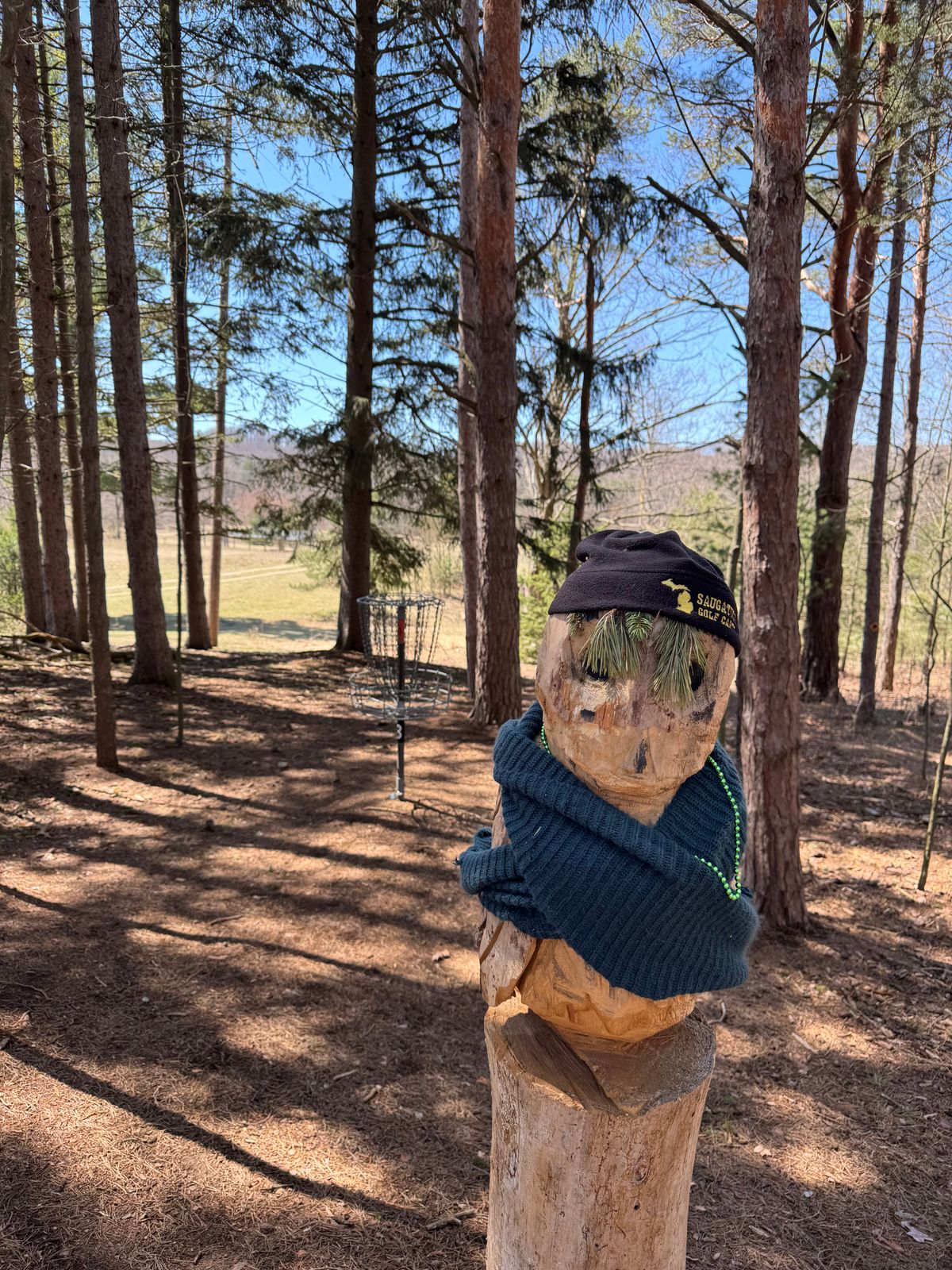 Owl on hole 3