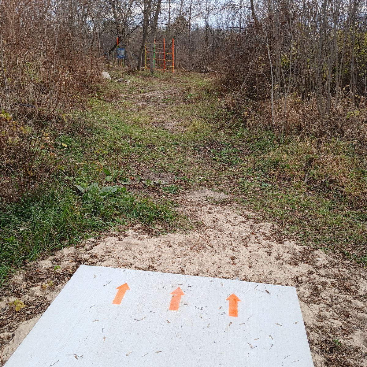 #15 tee. 115 ft