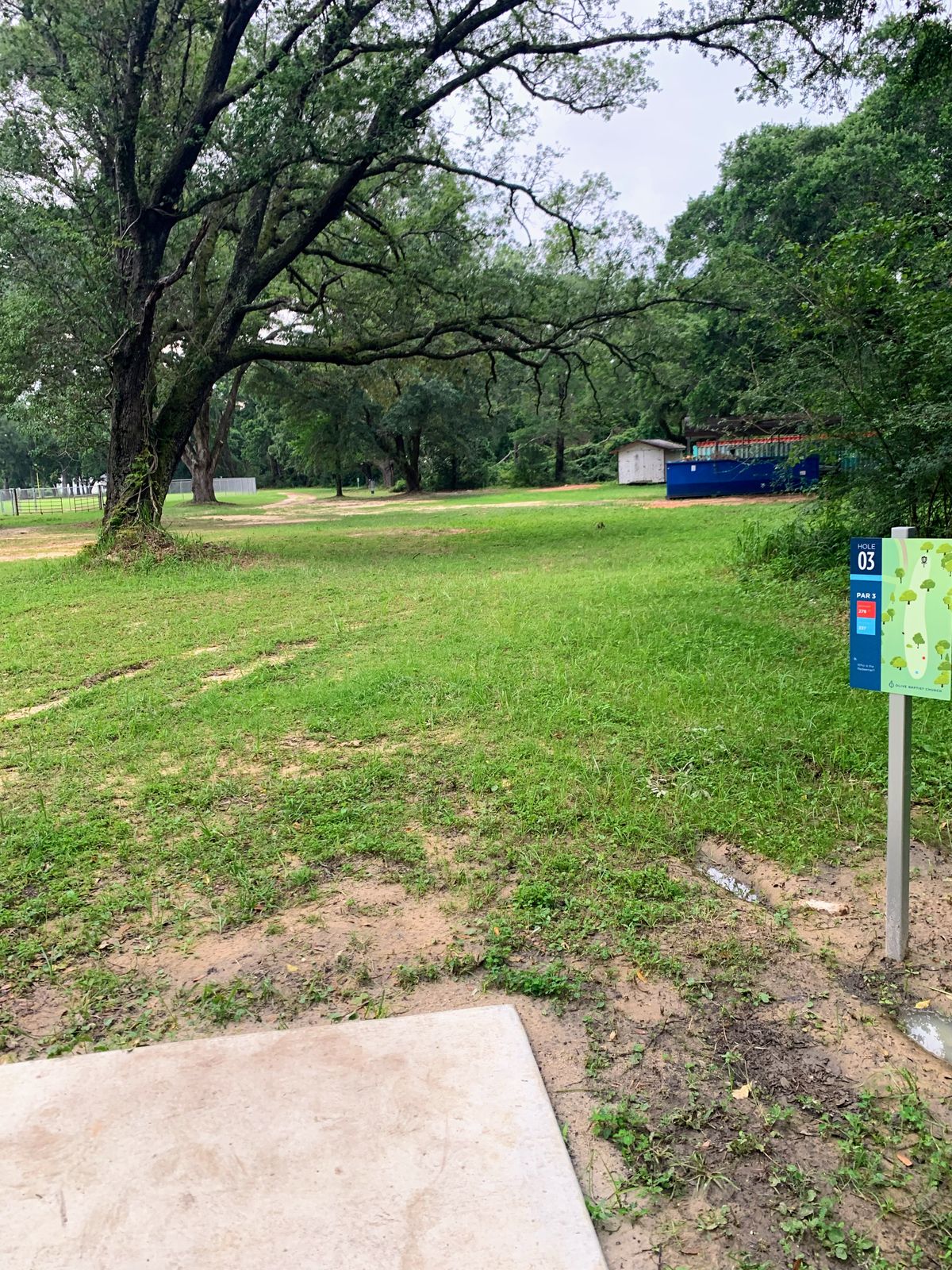 Hole 3, par 3, 276 ft, AM tee